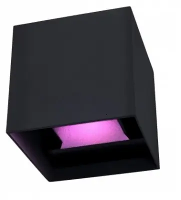 Smart Outdoor Wall Light